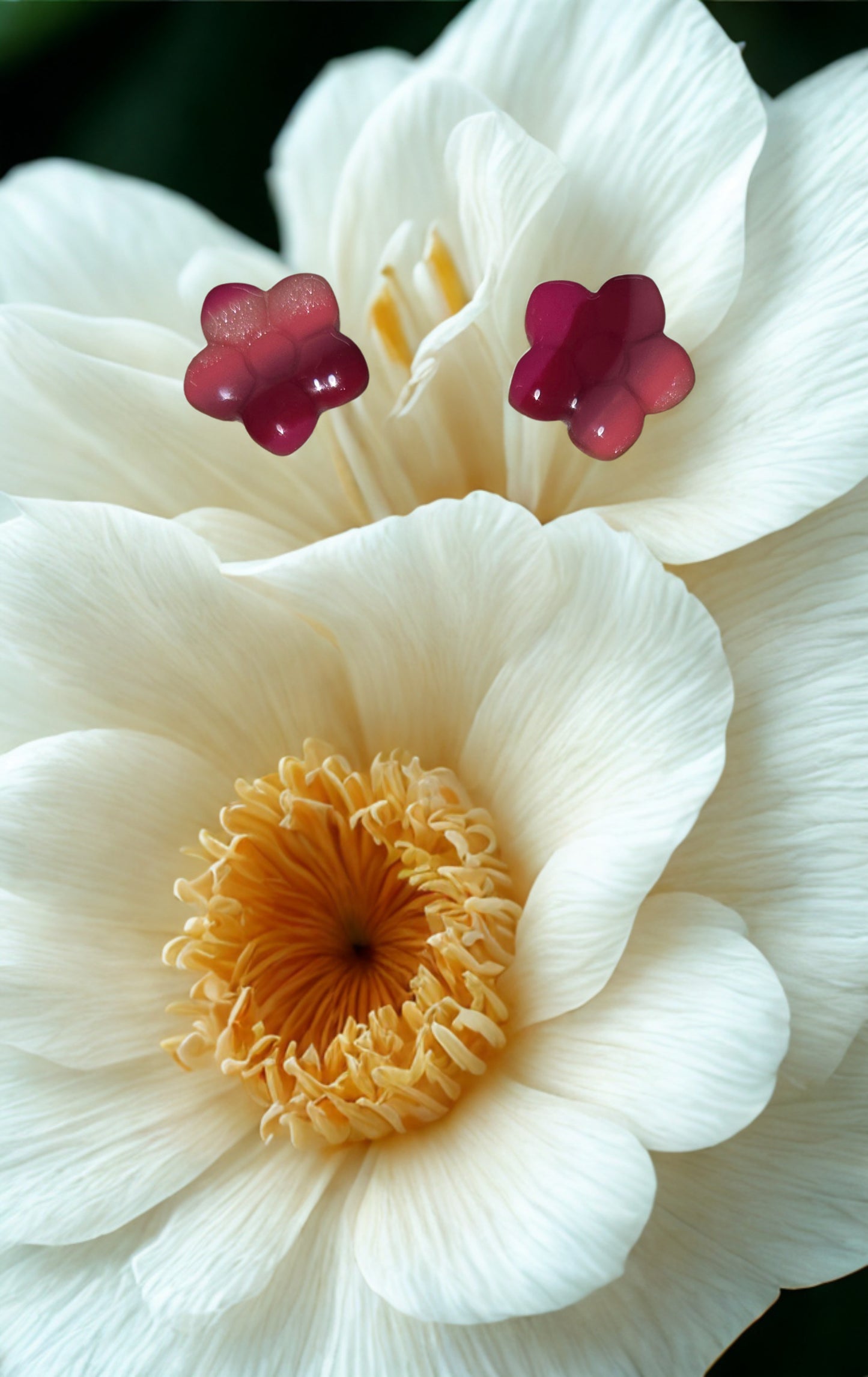 Puce Pétunia