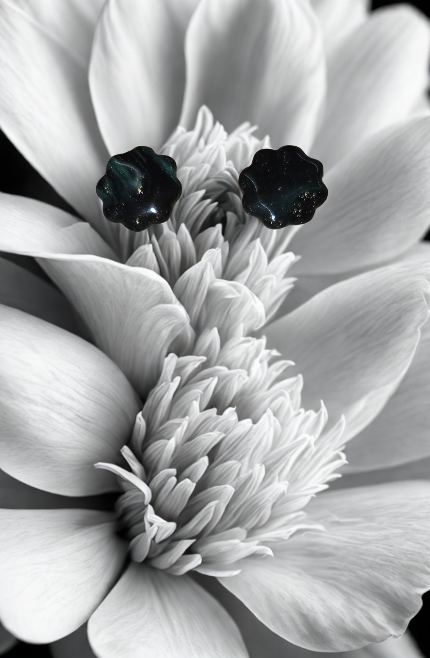 Puce Marguerite