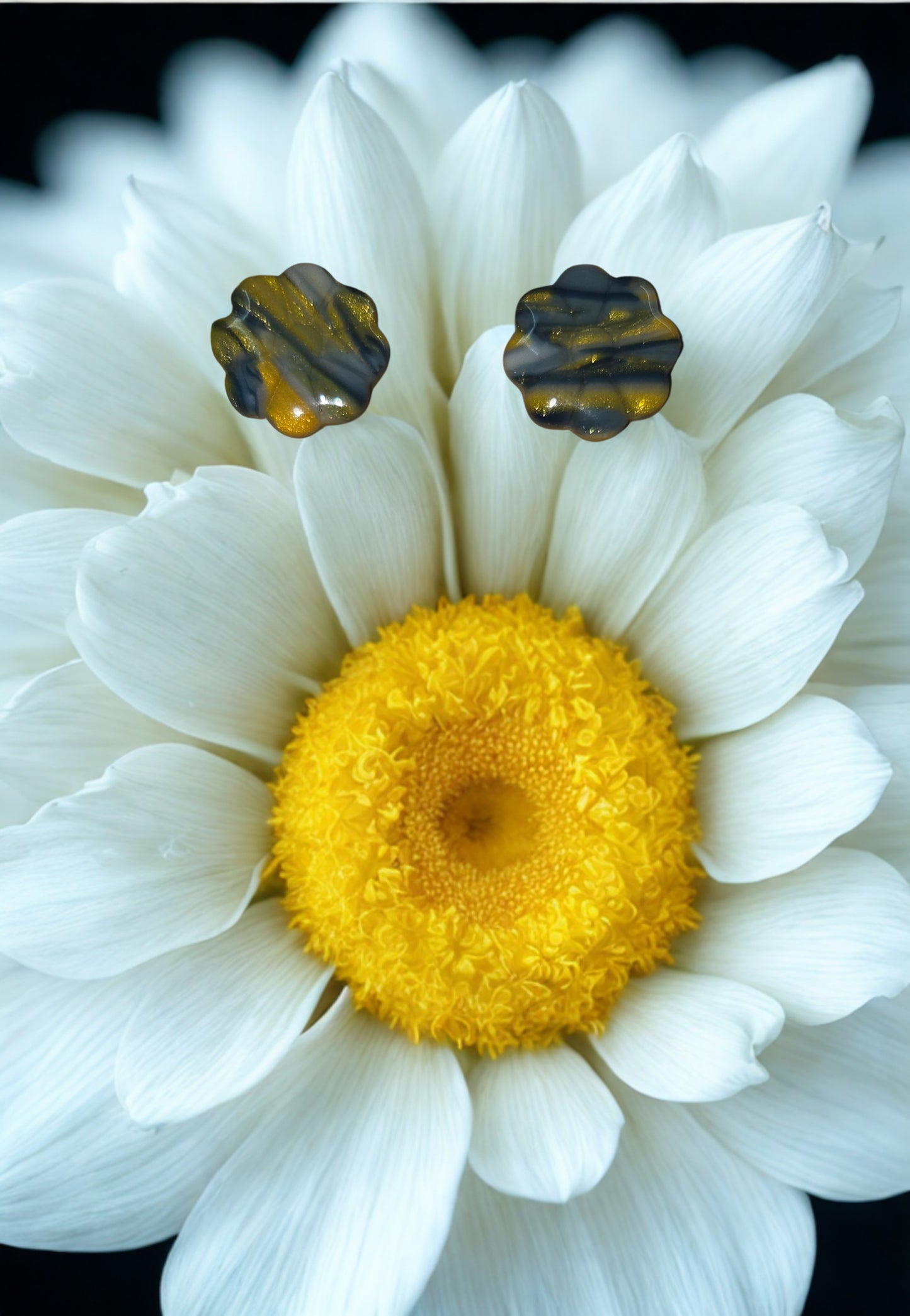 Puce Marguerite