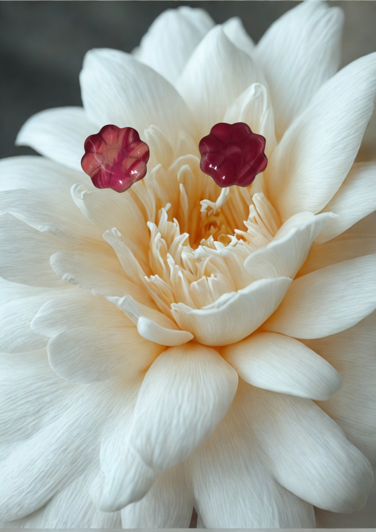Puce Marguerite