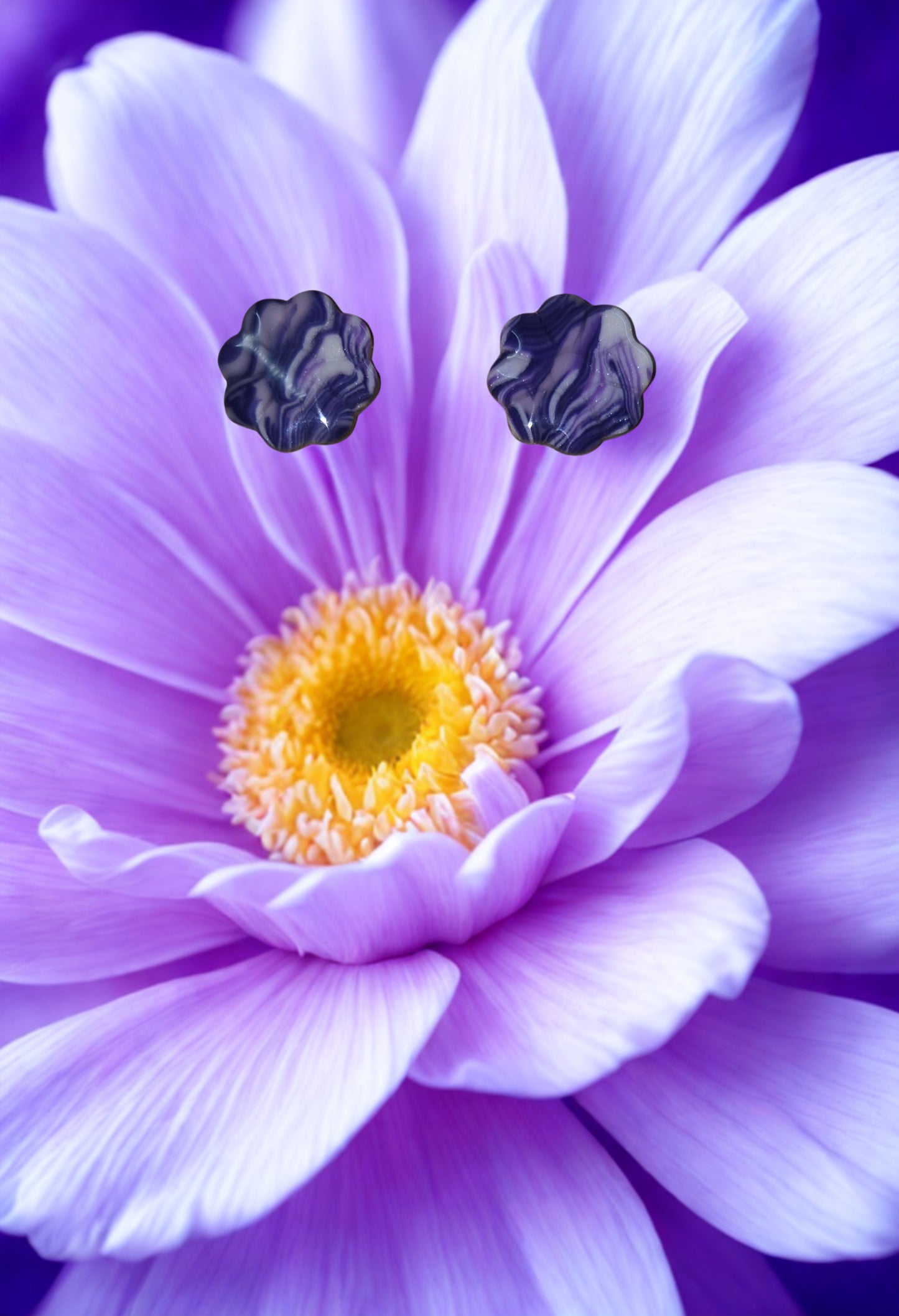Puce Marguerite